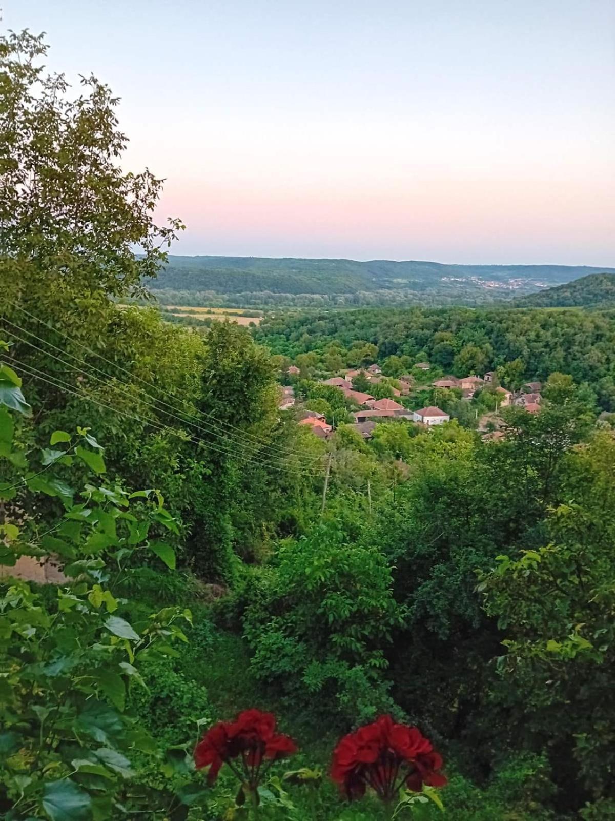 Country House Pivnica Milic Rogljevo Apartment Екстериор снимка
